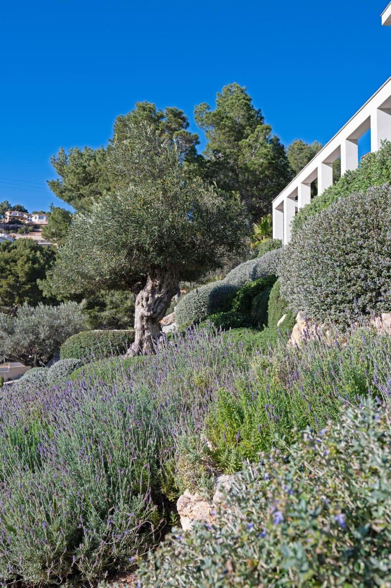 5 bedroom Villa for sale in Puerto de Andratx with pool - € 6,950,000 (Ref: 9530882)