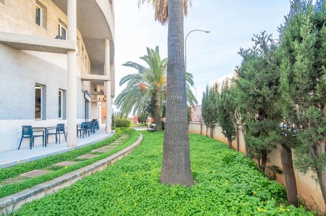 5 makuuhuone Toimisto myytävänä paikassa Palma de Mallorca - 369 000 € (Ref: 9608116)