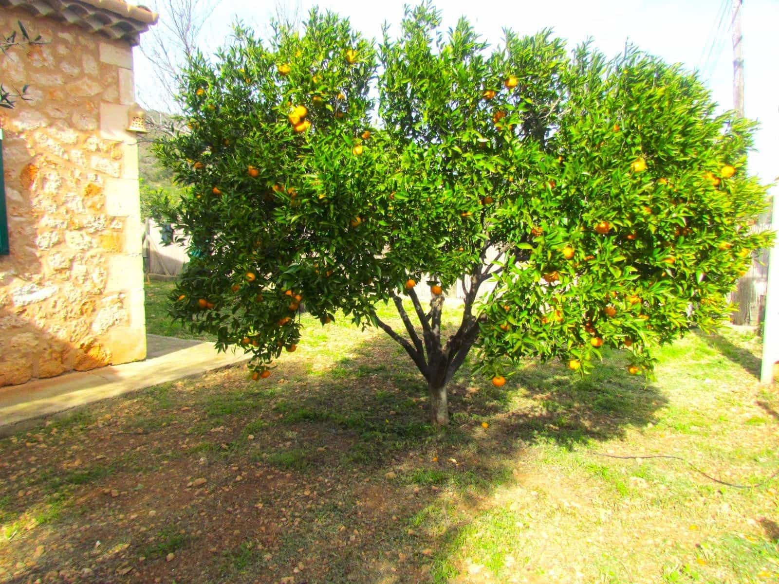 4 Zimmer Finca/Landgut zu vermieten in Santa Eugenia mit Pool Garage - 3.500 € (Ref: 9627597)