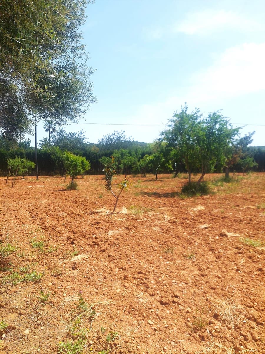 3 bedroom Finca/Country House for rent in Alaro with garage - € 2,250 (Ref: 9811947)