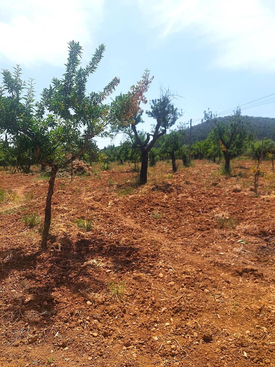 3 bedroom Finca/Country House for rent in Alaro with garage - € 2,250 (Ref: 9811947)