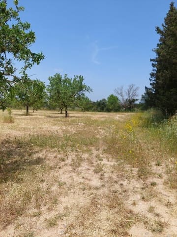 Grunde uden byggetilladelser til salg i Inca - € 105.000 (Ref: 9839291)