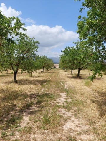 Grunde uden byggetilladelser til salg i Inca - € 105.000 (Ref: 9839291)