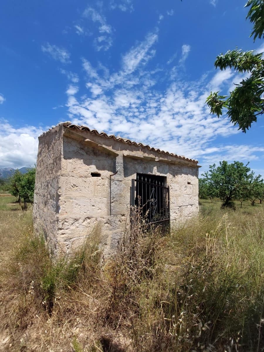Undeveloped Land for sale in Inca - € 89,000 (Ref: 9839291)