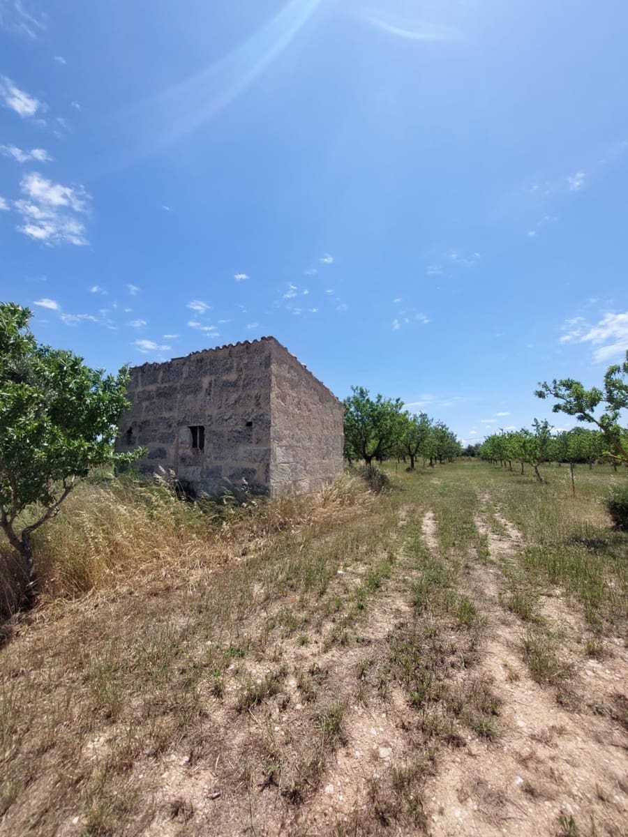 Undeveloped Land for sale in Inca - € 89,000 (Ref: 9839291)