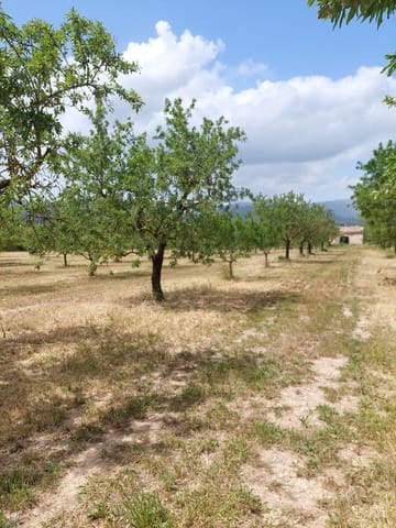 Ubebygd land til salgs i Inca - € 105 000 (Ref: 9839291)