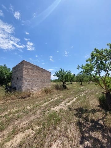 Ubebygd land til salgs i Inca - € 105 000 (Ref: 9839291)