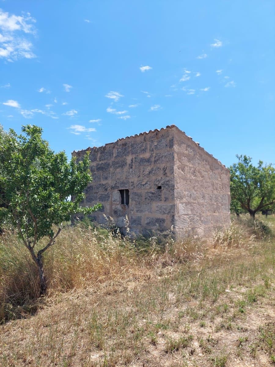 Undeveloped Land for sale in Inca - € 89,000 (Ref: 9839291)