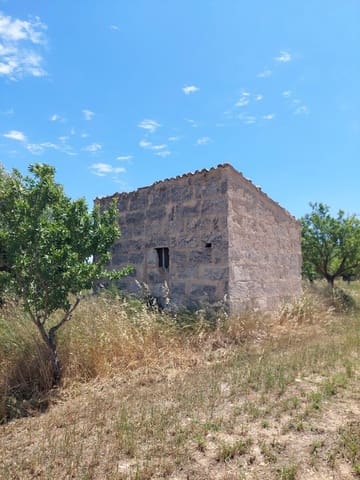 Ubebygd land til salgs i Inca - € 105 000 (Ref: 9839291)