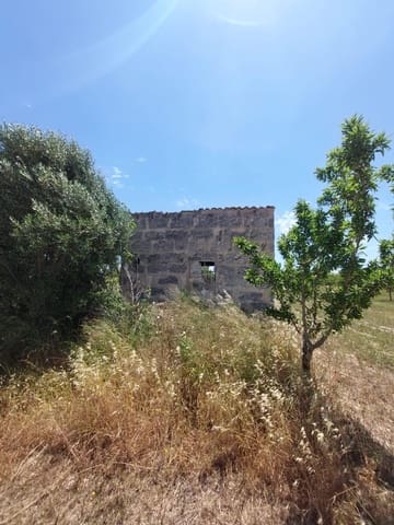 Ubebygd land til salgs i Inca - € 105 000 (Ref: 9839291)