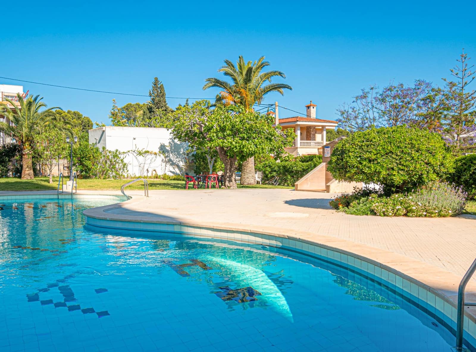 1 bedroom Flat for rent in Palmanova with pool - € 1,400 (Ref: 9868625)