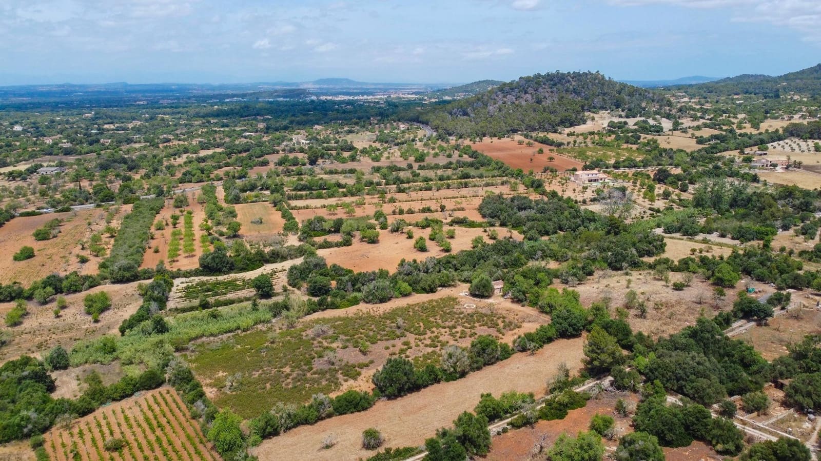 Bauplatz zu verkaufen in Cas Concos - 590.000 € (Ref: 9903978)
