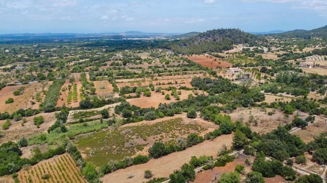 Bauplatz zu verkaufen in Cas Concos, Felanitx - 590.000 € (Ref: 9903978)