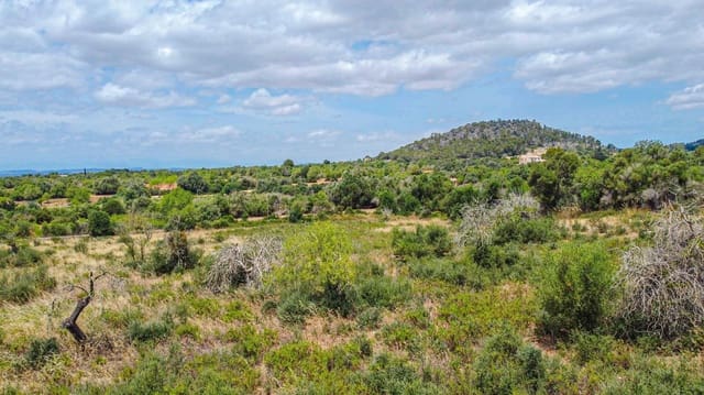 Bauplatz zu verkaufen in Cas Concos, Felanitx - 590.000 € (Ref: 9903978)