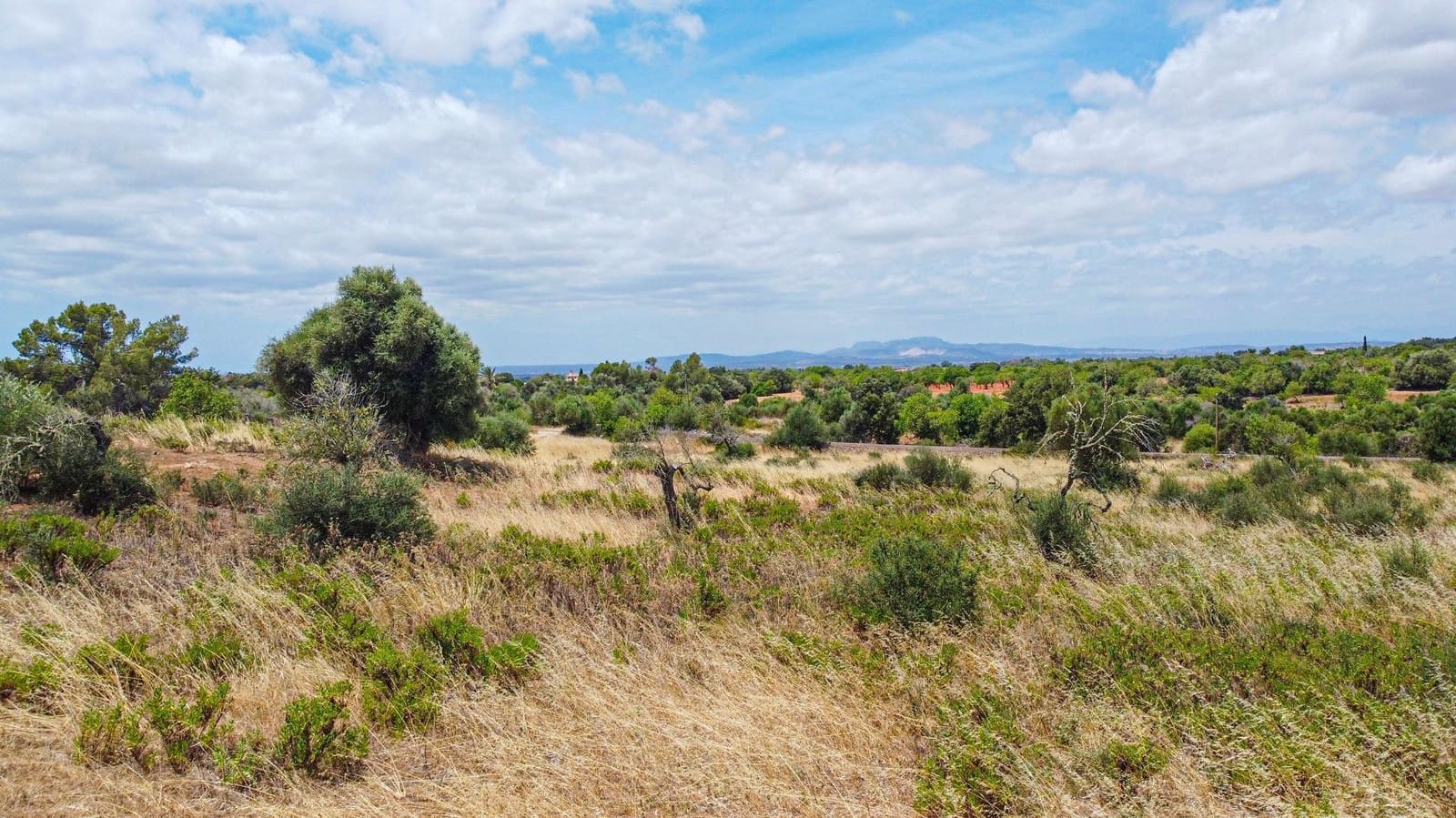 Bauplatz zu verkaufen in Cas Concos - 590.000 € (Ref: 9903978)