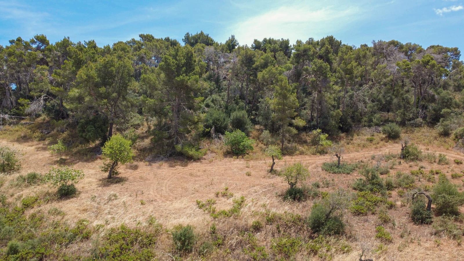 Bauplatz zu verkaufen in Cas Concos - 590.000 € (Ref: 9903978)