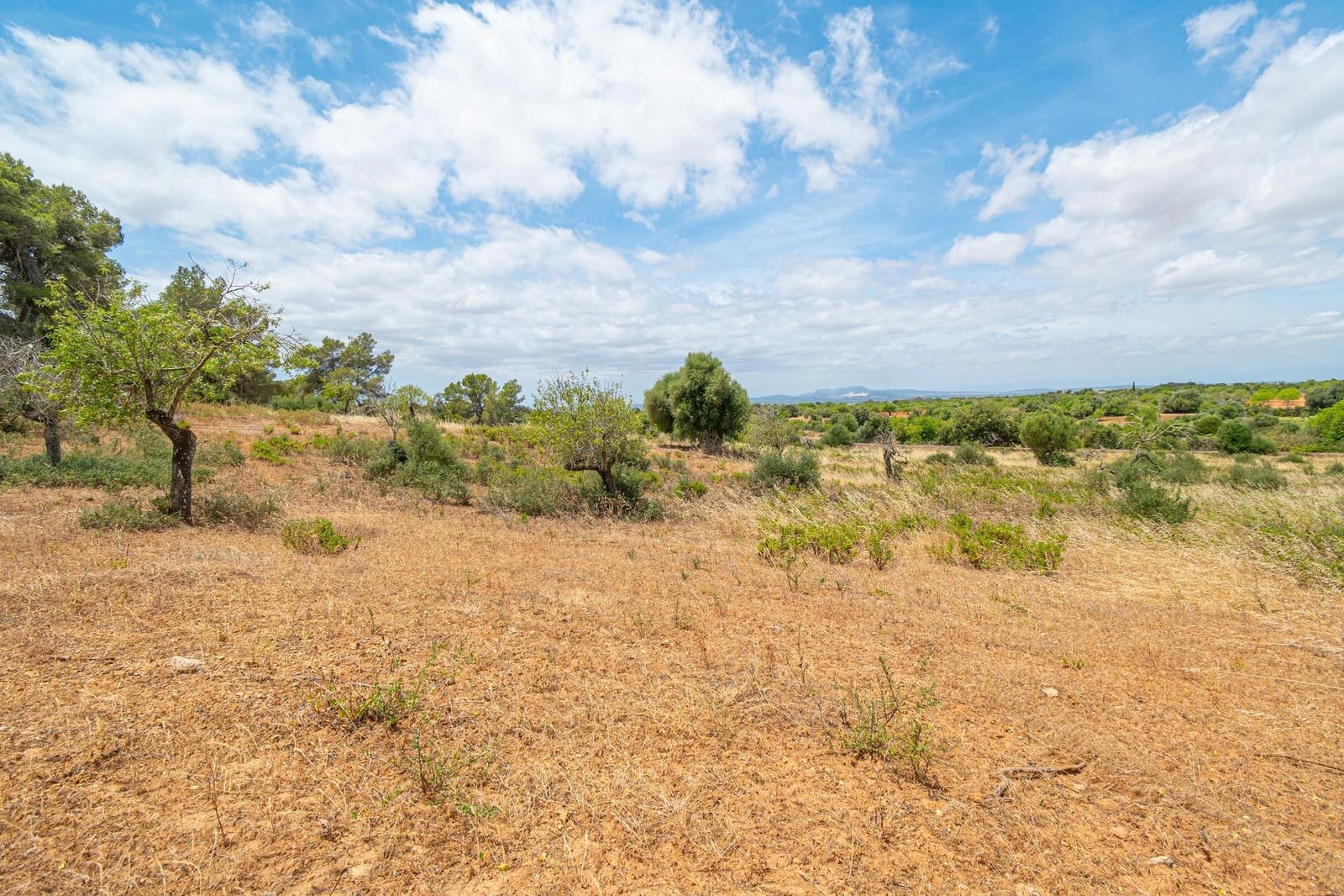 Bauplatz zu verkaufen in Cas Concos - 590.000 € (Ref: 9903978)