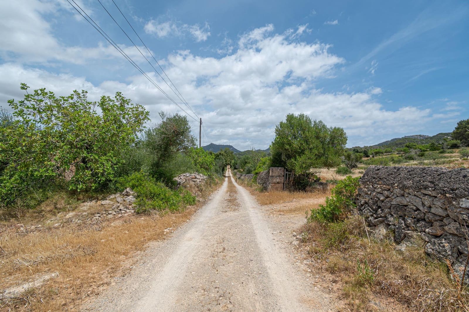 Bauplatz zu verkaufen in Cas Concos - 590.000 € (Ref: 9903978)