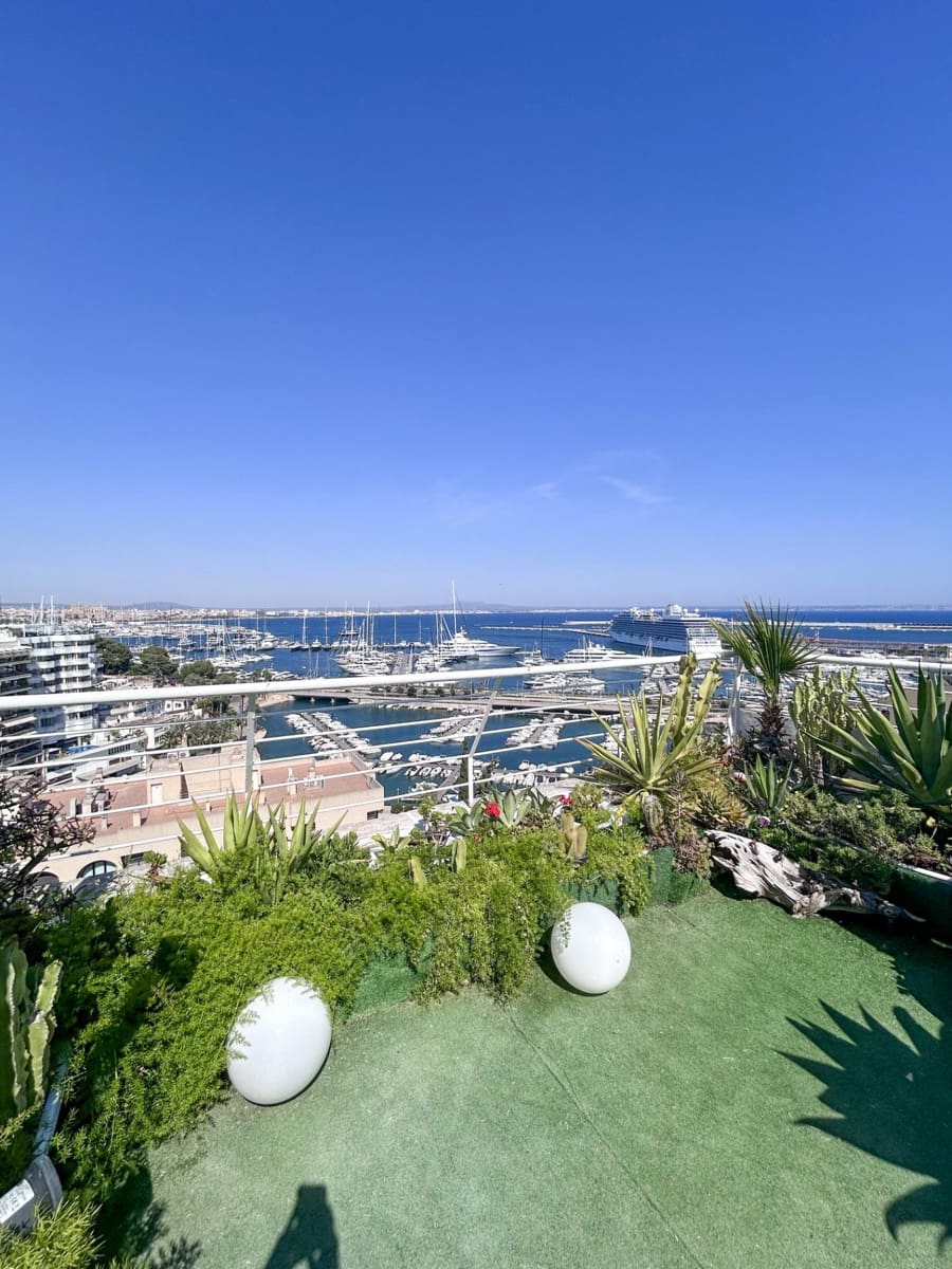 3 Zimmer Penthouse zu vermieten in Palma de Mallorca mit Pool Garage - 6.000 € (Ref: 9934243)