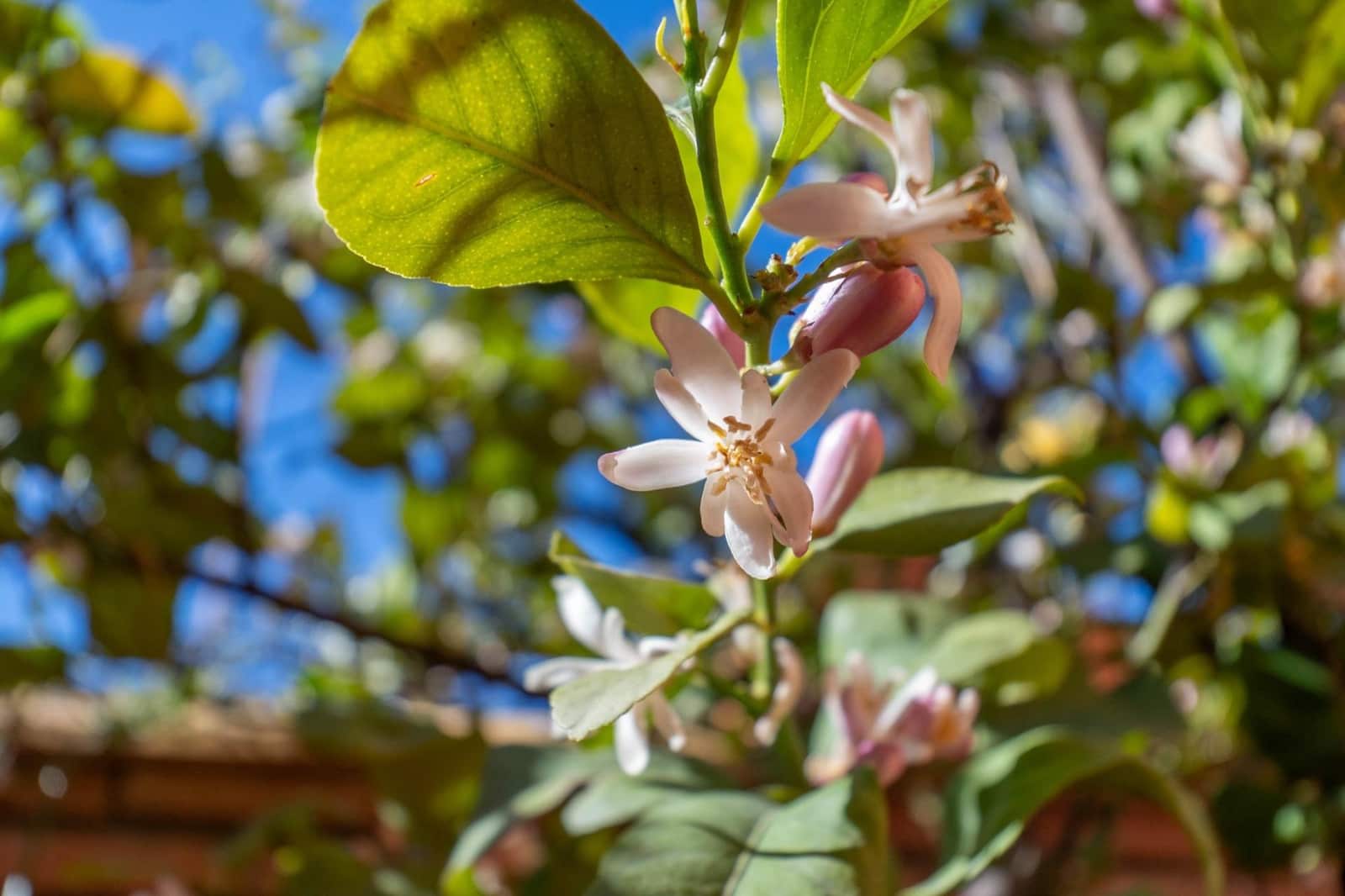 2 sypialnia Mieszkanie na sprzedaż w La Zubia z garażem - 179 990 € (Ref: 9797211)
