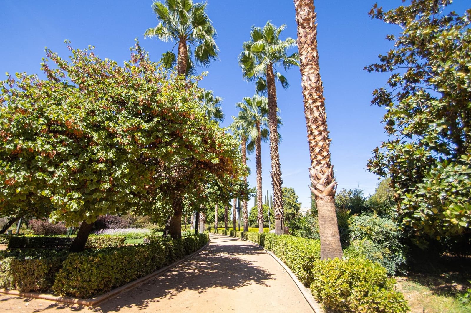 3 bedroom Flat for sale in Granada city - € 220,000 (Ref: 9804368)