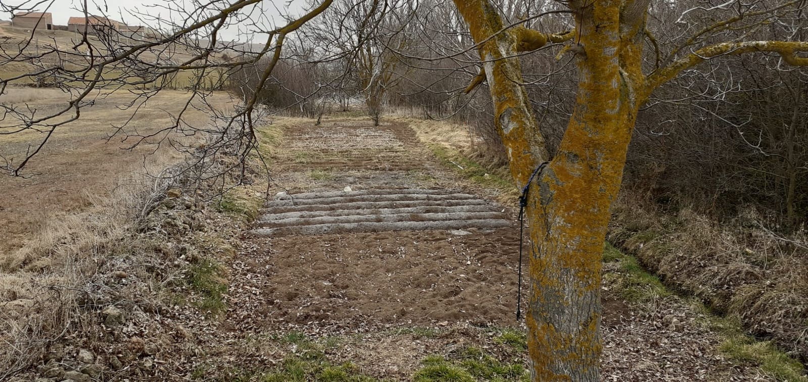 5 sypialnia Finka/Dom wiejski na sprzedaż w Fuentes Calientes - 138 000 € (Ref: 6795763)