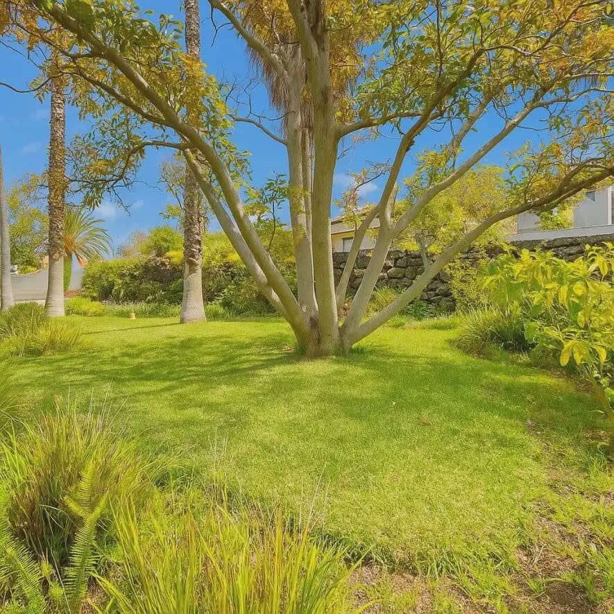 10 sovrum Villa till salu i Santa Ursula med garage - 1 900 000 € (Ref: 10009881)