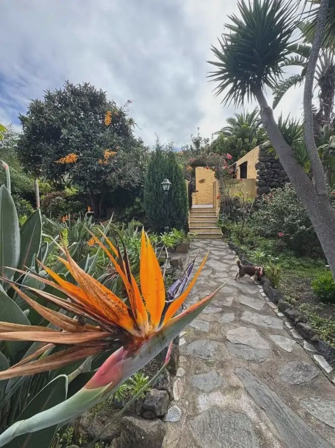 4 chambre Finca/Maison de Campagne à vendre à Icod de los Vinos - 690 000 € (Ref: 10021874)