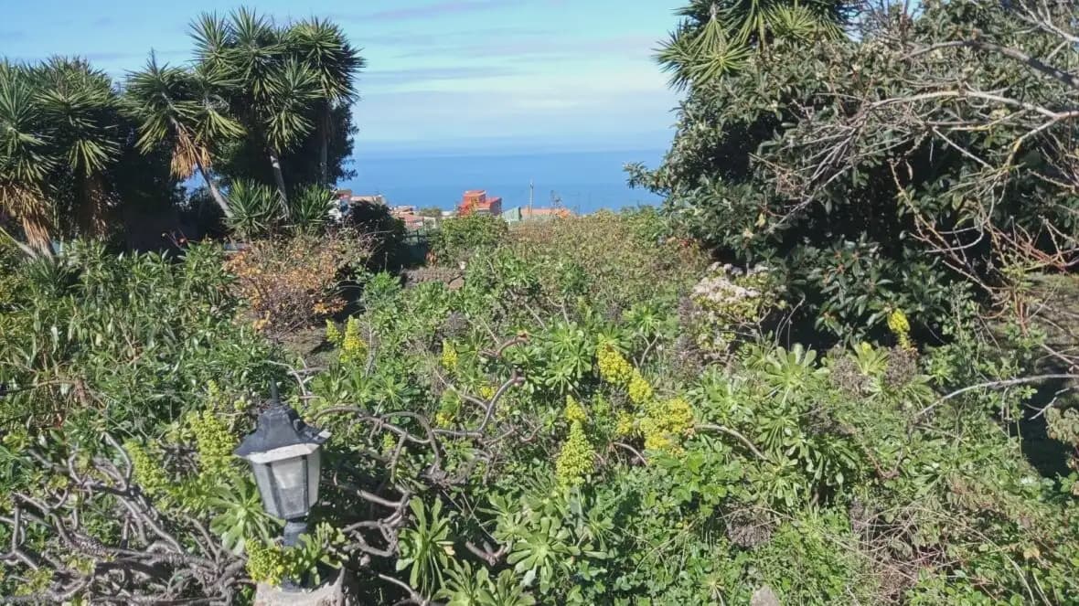 4 chambre Finca/Maison de Campagne à vendre à Icod de los Vinos - 690 000 € (Ref: 10021874)