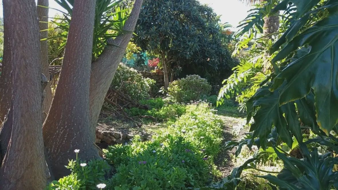 4 chambre Finca/Maison de Campagne à vendre à Icod de los Vinos - 690 000 € (Ref: 10021874)