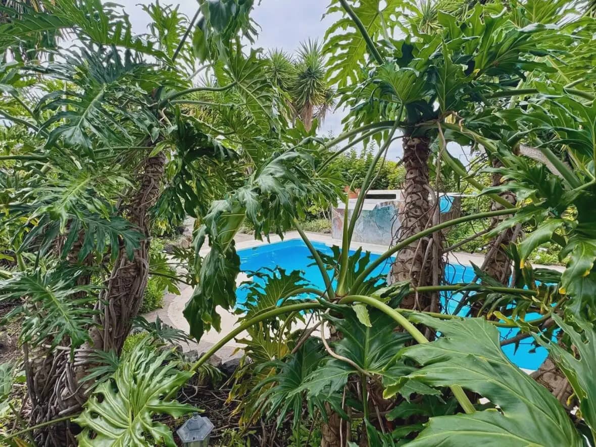 4 chambre Finca/Maison de Campagne à vendre à Icod de los Vinos - 690 000 € (Ref: 10021874)