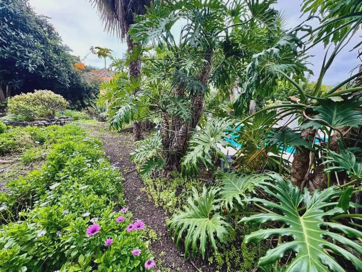 4 chambre Finca/Maison de Campagne à vendre à Icod de los Vinos - 690 000 € (Ref: 10021874)
