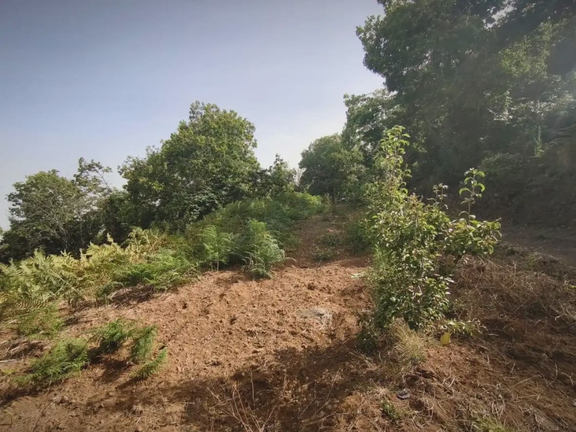 4 bedroom Finca/Country House for sale in La Matanza de Acentejo - € 290,000 (Ref: 10021875)