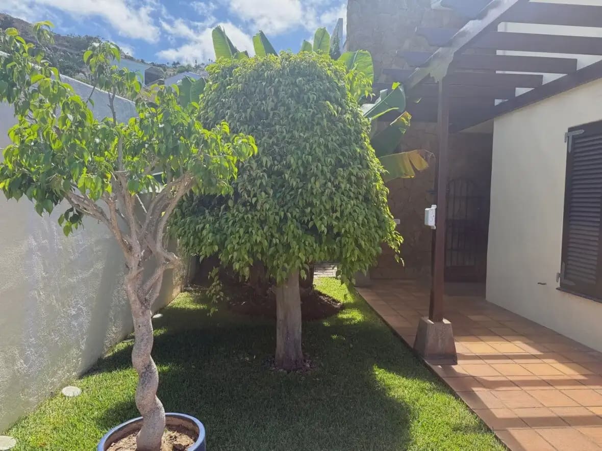 3 bedroom Villa for sale in El Sauzal with garage - € 620,000 (Ref: 10021876)