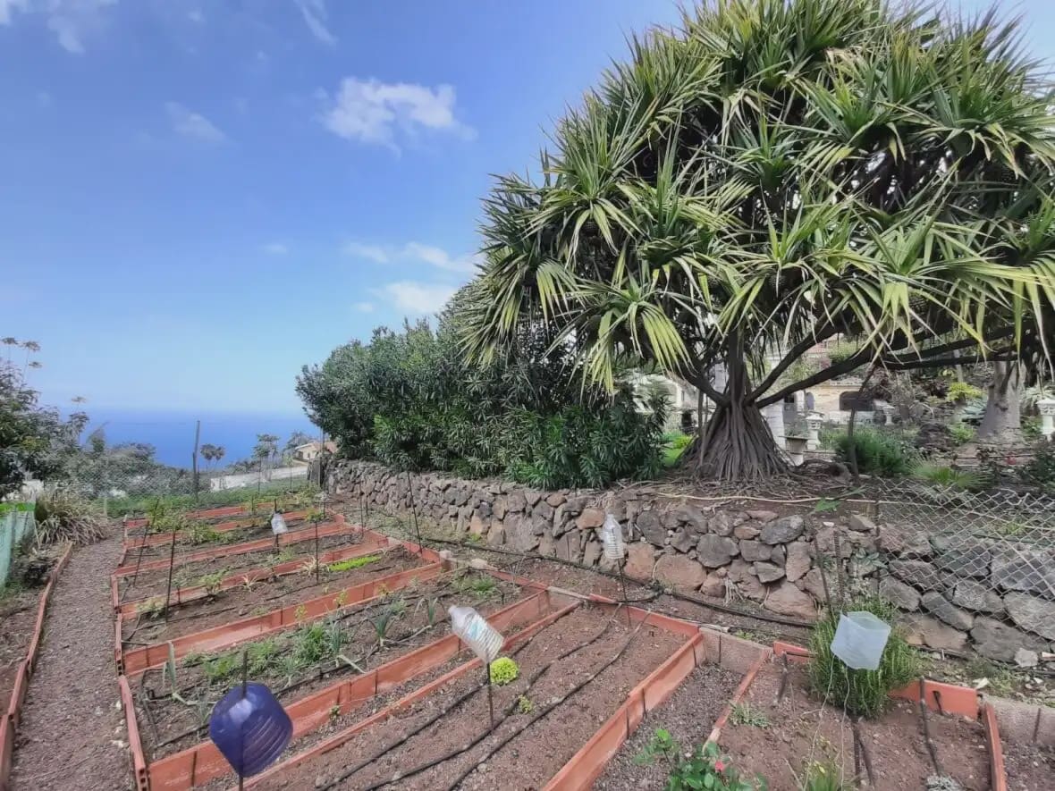 5 camera da letto Villa in vendita in Santa Ursula con garage - 1.325.000 € (Rif: 10021880)