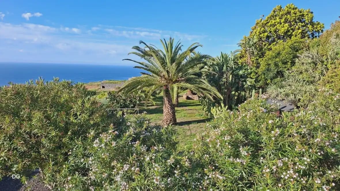 6 soveværelse Finca/Landehus til salg i San Juan de la Rambla med garage - € 1.250.000 (Ref: 10021883)