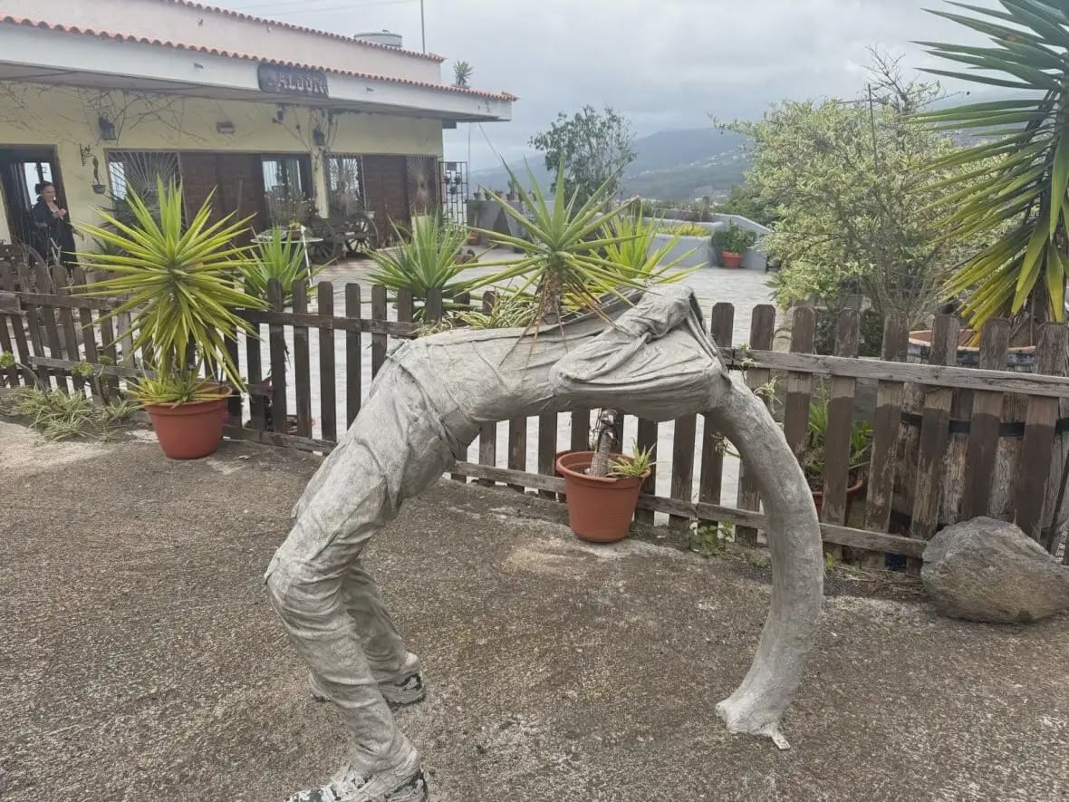 9 bedroom Business for sale in Icod de los Vinos - € 900,000 (Ref: 10021885)