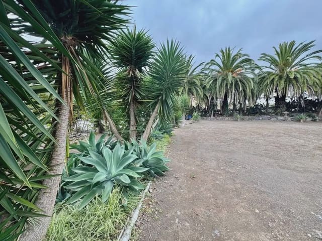 9 bedroom Business for sale in Icod de los Vinos - € 900,000 (Ref: 10021885)