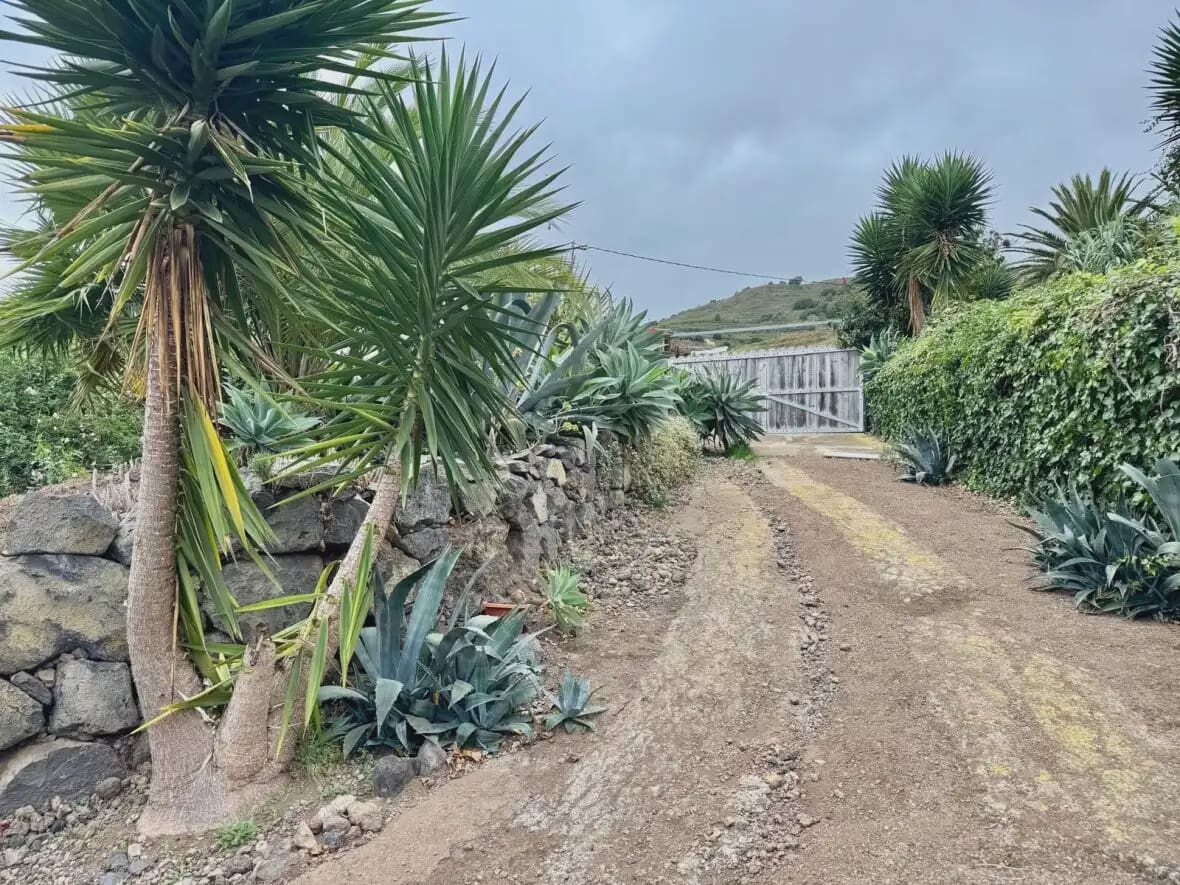 9 bedroom Business for sale in Icod de los Vinos - € 900,000 (Ref: 10021885)