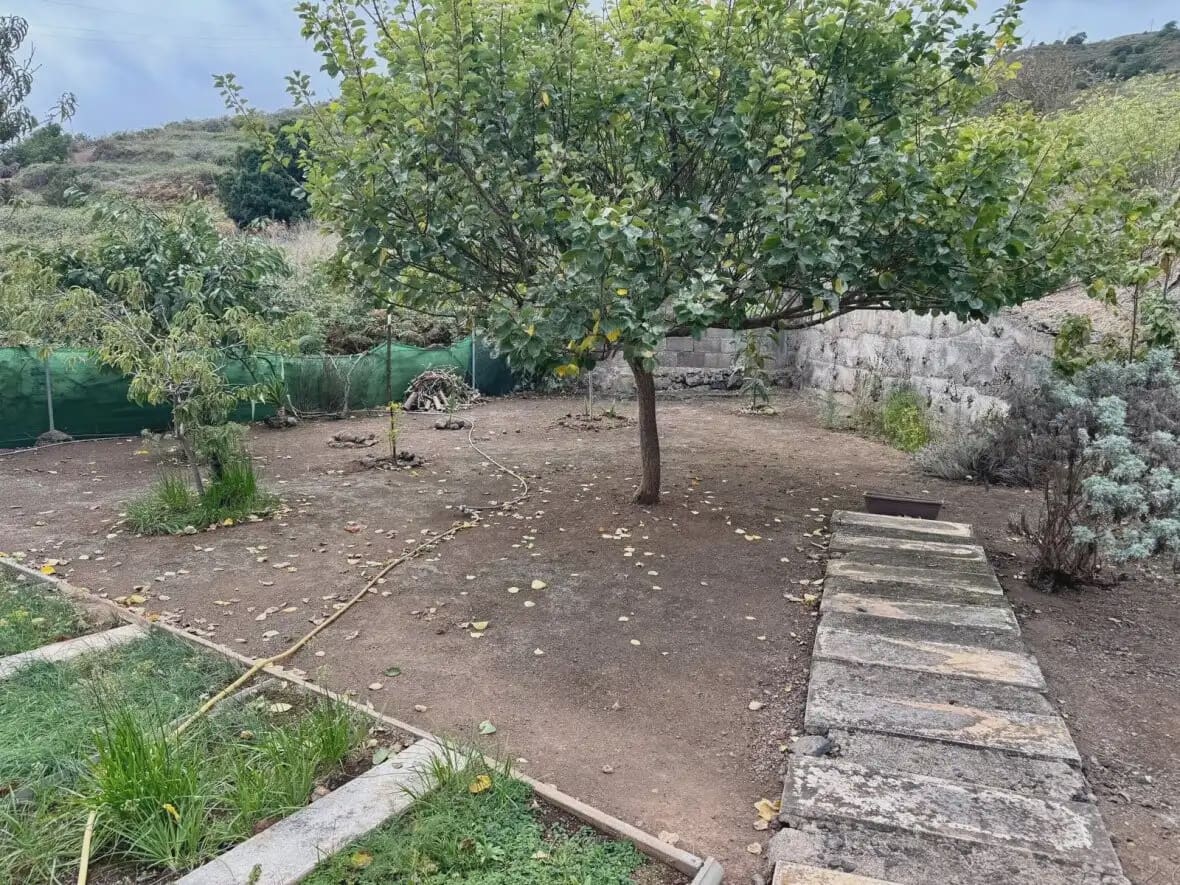 9 bedroom Business for sale in Icod de los Vinos - € 900,000 (Ref: 10021885)