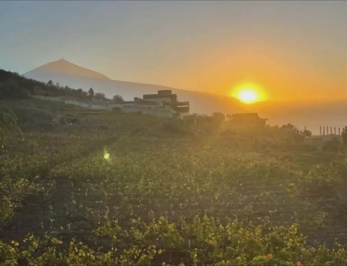 5 quarto Quinta/Casa Rural para venda em La Orotava com garagem - 870 000 € (Ref: 10021972)