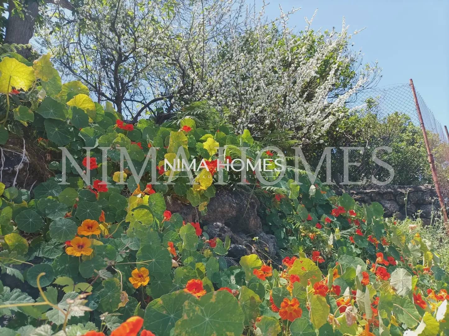 Finca/Casa Rural de 5 habitaciones en La Orotava en venta con piscina garaje - 870.000 € (Ref: 10021972)