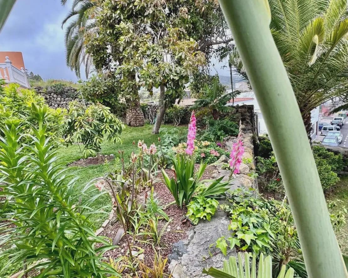 4 chambre Villa/Maison à vendre à Icod de los Vinos - 395 000 € (Ref: 10033187)