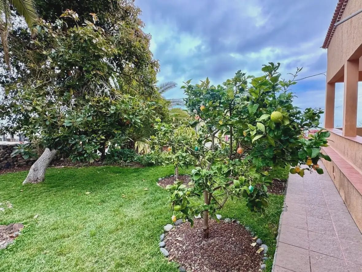 4 chambre Villa/Maison à vendre à Icod de los Vinos - 395 000 € (Ref: 10033187)