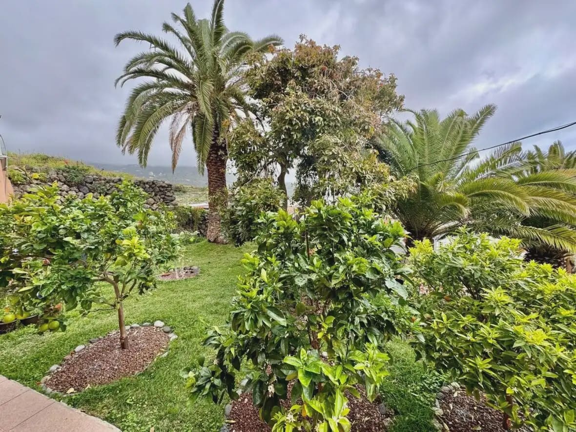 4 chambre Villa/Maison à vendre à Icod de los Vinos - 395 000 € (Ref: 10033187)