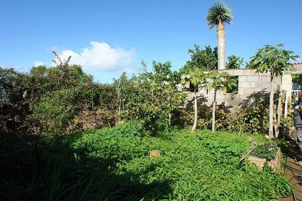 5 slaapkamer Finca/Landhuis te koop in El Sauzal met zwembad - € 970.000 (Ref: 8780241)