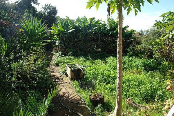 5 slaapkamer Finca/Landhuis te koop in El Sauzal met zwembad - € 970.000 (Ref: 8780241)