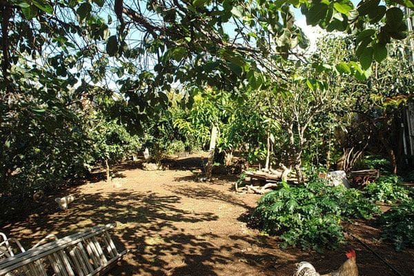 5 slaapkamer Finca/Landhuis te koop in El Sauzal met zwembad - € 970.000 (Ref: 8780241)