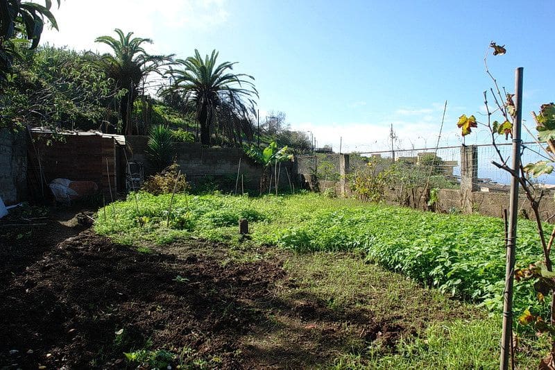 5 slaapkamer Finca/Landhuis te koop in El Sauzal met zwembad - € 970.000 (Ref: 8780241)