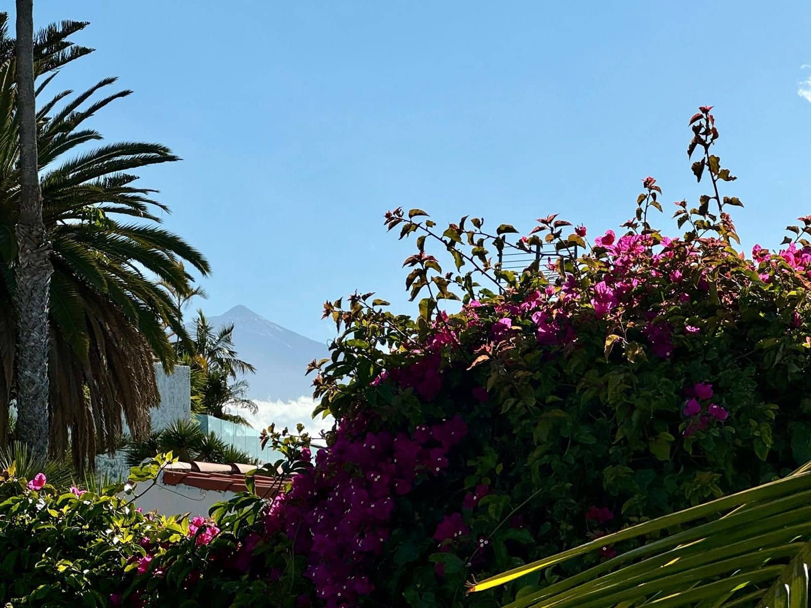 2 soveværelse Villa til salg i La Matanza de Acentejo med swimmingpool garage - € 595.000 (Ref: 8875183)